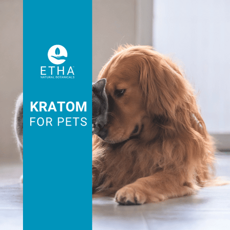 Best Kratom for Pets: Pet Kratom by ETHA