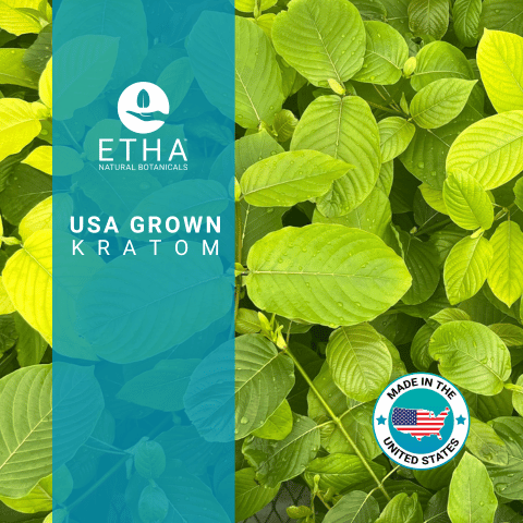 Best Kratom Grown in USA: ETHA Live Kratom Plants